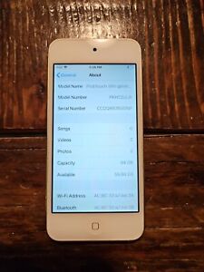 Apple iPod Touch 6th Generation Gold (64GB) READ DESCRIPTION Needs Battery