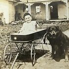 New ListingAntique Cabinet Card Photograph Adorable Little Boy In Wagon Next To Smiling Dog