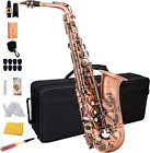 Alto Saxophone Antique Red Bronze Vintage Sax Eb E-Flat Student Beginner Full Ki