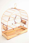 BUAVA CAGE Nº5 IN IVORY + BRAZIL WOOD - PRECIOUS WOOD - FINE WOVEN STAINLESS MES