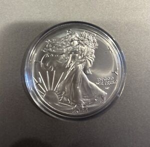 New Listing2022 W $1 American Silver Eagle Dollar Coin BU Shipped w/ Capsule