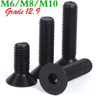 M6 M8 M10 Black Grade 12.9 Flat Head Countersunk Hex Socket Screw Allen Key Bolt