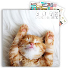 Cat Calendar 2023 with Sticker Pack, Kitten Square Large Wall Calendar 12 x 12 i