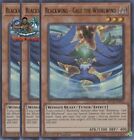 Yugioh! 3x Blackwing - Gale the Whirlwind BLCR-EN056 Ultra Rare 1st Ed NM