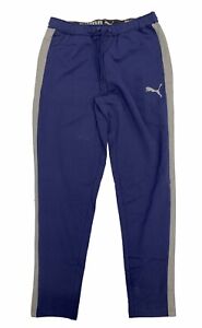 Puma Men's Stretchlite Pants Blue