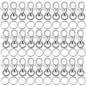 Key Chain Swivel Hooks 100pcs Keychain Hardware Metal Swivel Snap Hook Lanyar...