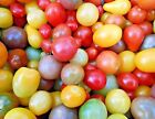 Rainbow Cherry Tomato Seeds, NON-GMO, Organic, Colorful, FREE SHIPPING, SALE