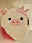 Caedyn The Cow Squishmallow 12 Inch