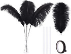 Black Ostrich Feathers Bulk - Making Kit 10Pcs 28Inch Large Ostrich Feathers for