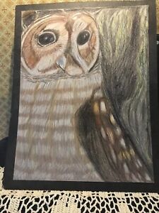 Owl Matted Color Pencil Drawing, By Marco Carlson