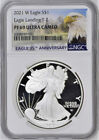 2021 w proof silver eagle type 2 ngc pf 69 ultra cameo mountain label