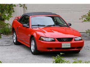 New Listing2004 Ford Mustang Premium
