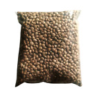 100 g Futura 83 Hemp Seeds