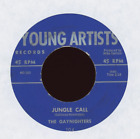 Jungle Exotica Instro 45 - The Gaynighters - Jungle Call on Young Artists