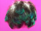 Peacock Teal Green Blue Iridescent Body Feathers 2.75