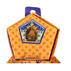 Universal Studios Harry Potter Chocolate Frog Wizard Card Mystery Pin Dumbledore