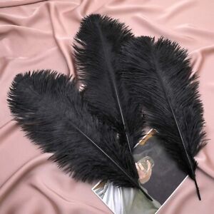 20pcs Black Ostrich Feathers Plumes Bulk for Wedding Party Home Decor 12-14 inch