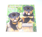 NEW Willow Creek Just Rottweiler Puppies 2024 12 x 12 Wall Calendar