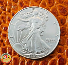2024 1 oz American Silver Eagle Coin BU in Air-Tite Capsule