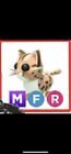 💗SALE! CHEAP PETS!! ADOPT MFR LEOPARD CAT! FAST, TRUSTED DELIVERY!💗