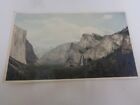 Vintage Hand Tinted Photo Yosemite Bear Photo Service