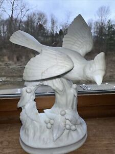 Vintage Andrea By Sadek #5647 Porcelain White Cardinal On Branch Figurine Japan