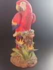 Andrea By Sadek Bird Red Scarlet Macaw  12.5