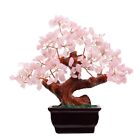 Feng Shui Natural Rose Pink Quartz Crystal Money Tree Bonsai Style Decoration...