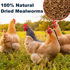 Dried Mealworms High Protein Non-GMO Bulk Food For Chicken,Bird,Turtle,Fish,Duck