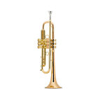 Bach Stradivarius Commercial Series Pro Bb Trumpet Outfit, Lacquer