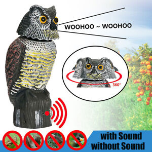 Realistic Owl Decoy Rotating Head Outdoor Garden Repellent Bird Scare w/Sound