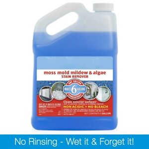 Outdoor Liquid Surface Cleaner&Stain Remover, Eliminate Mold Mildew&Algae Stains
