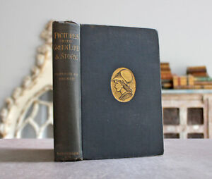 Rare Antique Old Book Ancient Greek Life ~1890 Illustrated Plato Greece War ⭐️
