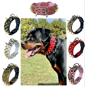 Dog Collar Sharp Gold Spikes Spike Rivet Adjustable PU Leather  2
