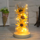 Christmas Artificial Sunflower Dome Lamp Light Strip Gift Led Enchanted dj .C .m