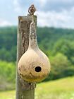 Gourd Birdhouse With Rigid Mount Won't Swing In the Wind