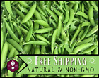 90+ Sugarsnap Pea Seeds Vegetable Gardening, Heirloom, Non-GMO, FREE SHIPPING