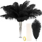 Large Ostrich Feathers Bulk-Making Kit 10Pcs 28