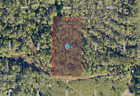 1.27 AC, pure nature, between Tampa and Orlando, Florida, Bid on Down Payment