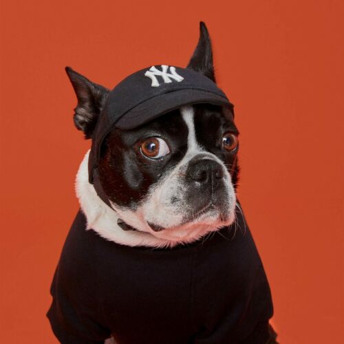 Yankees MLB Pet Dog Hat, NY New York Cap Black for Dogs - Dog Baseball hat,