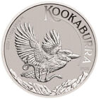 2024 P Australia Platinum Kookaburra 1/10 oz $15 - BU