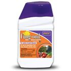 Bonide Fung-onil Multi-Purpose Fungicide, 16 oz Concentrate for Plant Disease Co