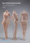 US 1:6 Pale Skin Large Bust Breast 12