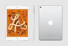 Pink Screen Apple iPad Mini 5 (2019) Wi-Fi Only 64GB - Silver