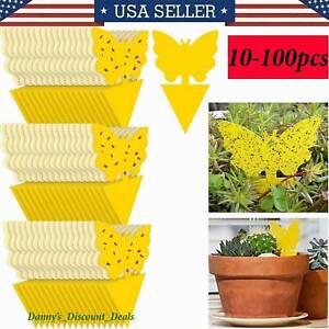 10/100pcs Sticky Fruit Fly Traps, Fungus Gnat Killer Trap use for Indoor Outdoor