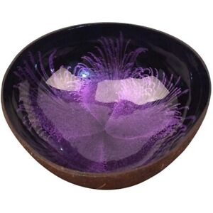 Handmade purple Coconut Bowls Natural Coconut Shell Storage Bowl Coconut Serving