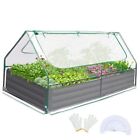 Raised Garden Bed with Cover Outdoor Galvanized Metal 6 x 3 x 1 ft Clear