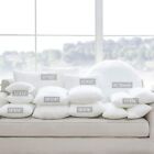Brand New -- 2Pcs Longhui Bedding Pillow Inserts / Cushion Throw Pillow Covers