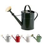 Galvanized Metal Watering Can 9 Liter with Removeable Sprinkler Head