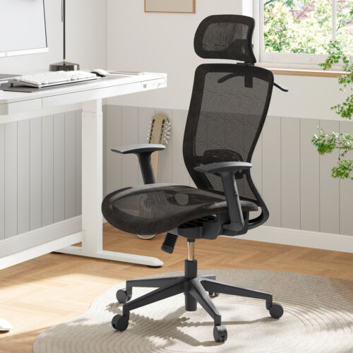 FLEXISPOT Ergonomic Office Desk Chair Ergonomic Swivel Mesh Chair Lumbar Support